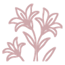 Fantasía Floral